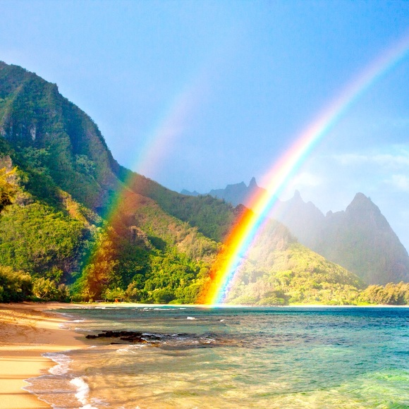 Meet your Posher, Penny - Picture 1 of 1